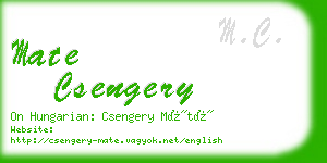 mate csengery business card